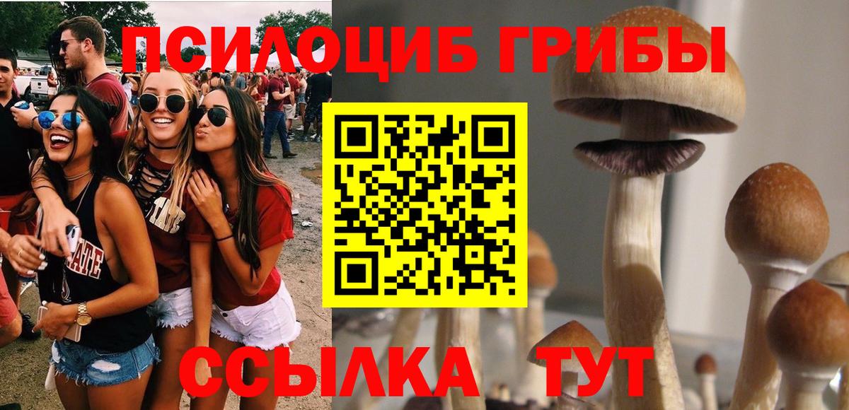 Псилоцибиновые грибы ЛСД  Вход с VPN  Карпинск 