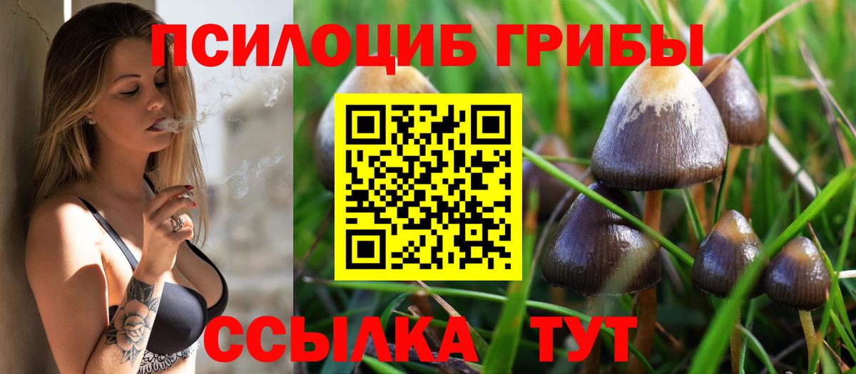Галлюциногенные грибы Psilocybe Карпинск